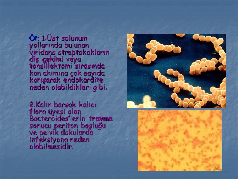 Ör: 1.Üst solunum yollarında bulunan viridans streptokokların diş çekimi veya tonsillektomi sırasında kan akımına